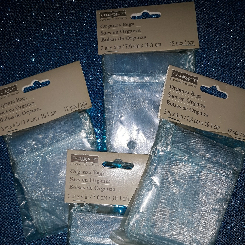 Celebrate It ~ LIGHT BLUE ~ 12 count Organza Bags